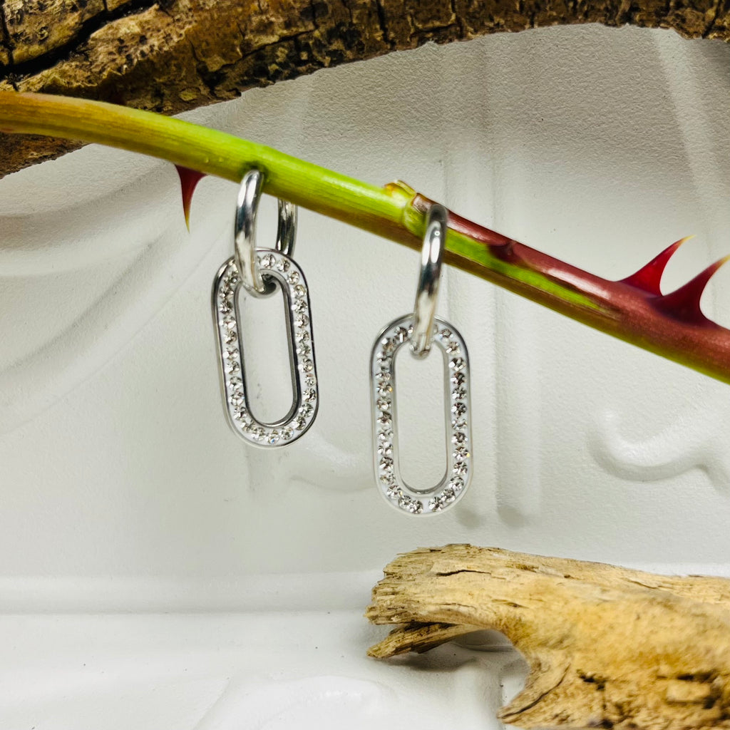 Silver Crystal Drop Down Earrings