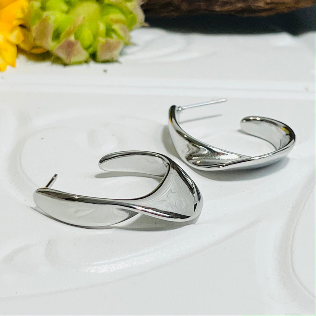 Silver Modern Looking Earrings