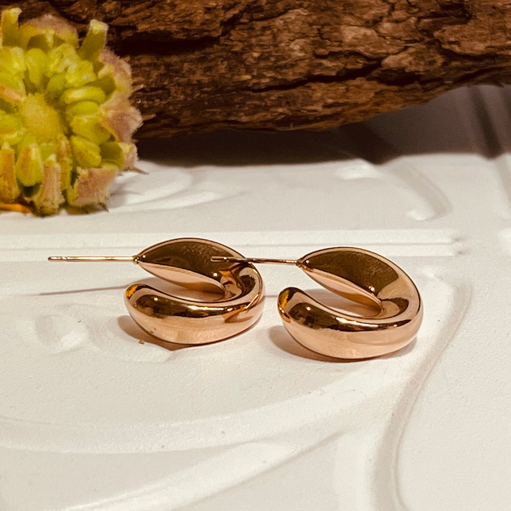 Rose Gold Simple & Elegant Earrings