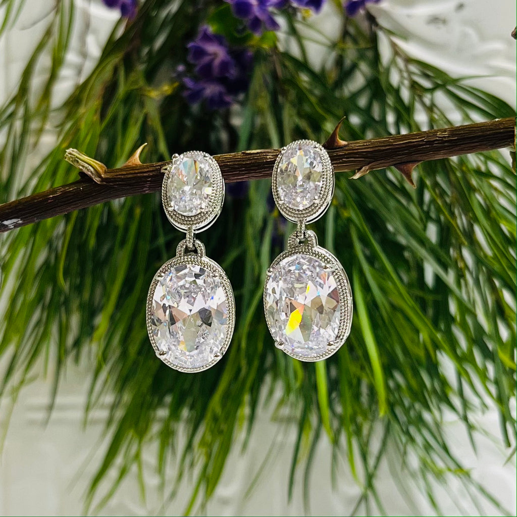 Silver & Cubic Zirconia Feature Earrings
