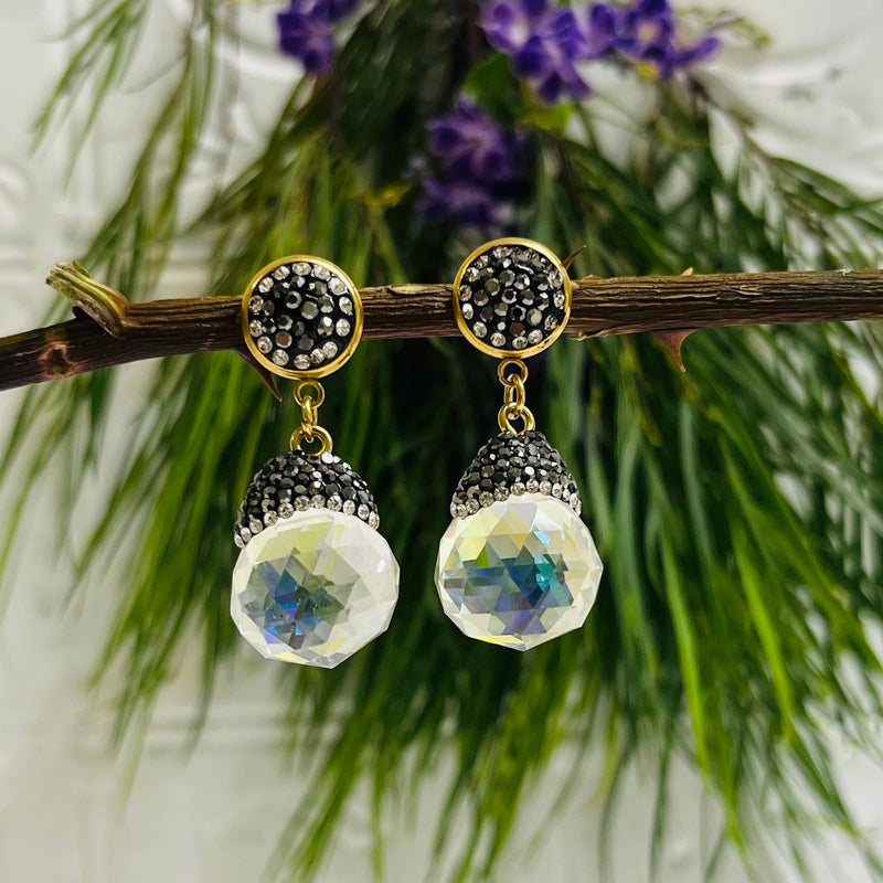 Stainless Steel & Crystal Earrings
