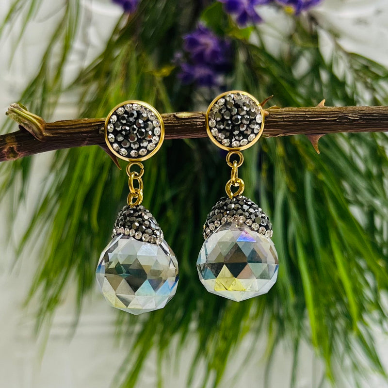 Stainless Steel & Crystal Earrings