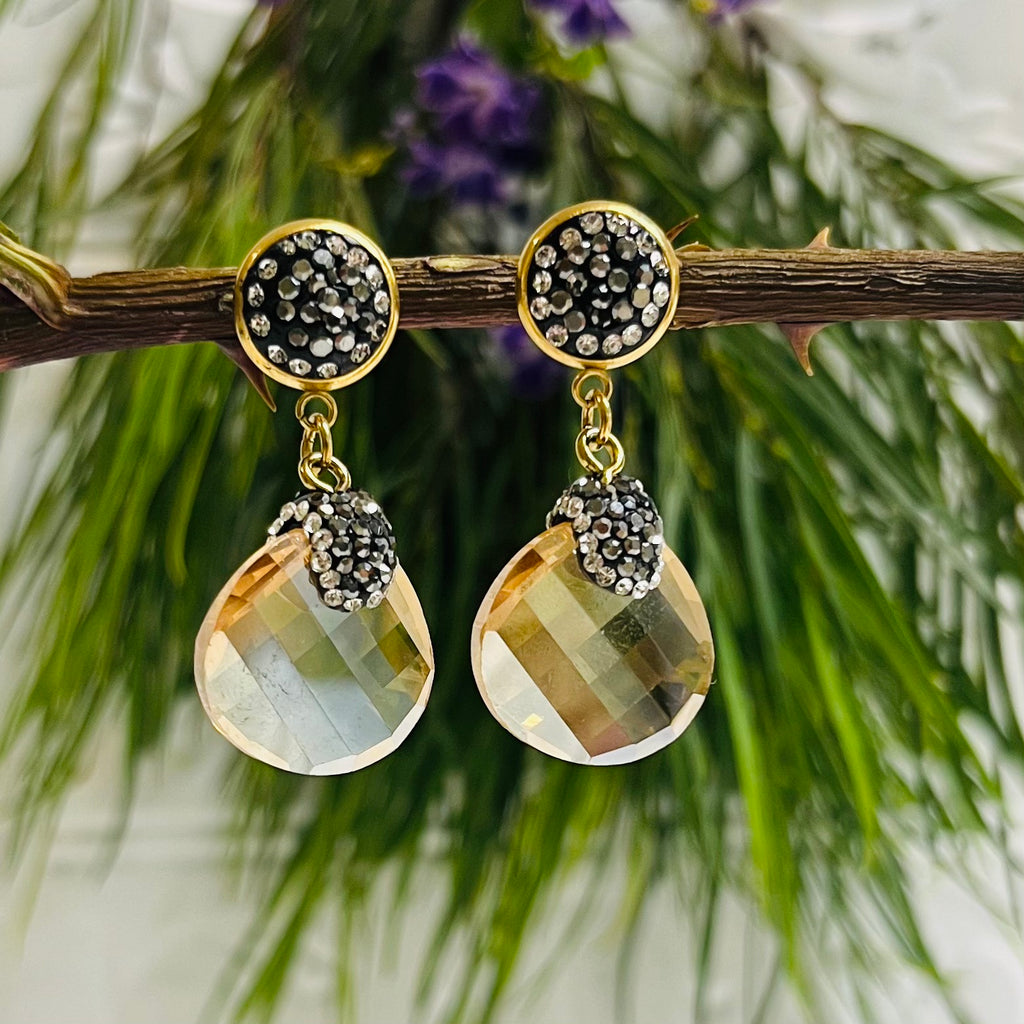 Stainless Steel & Crystal Earrings