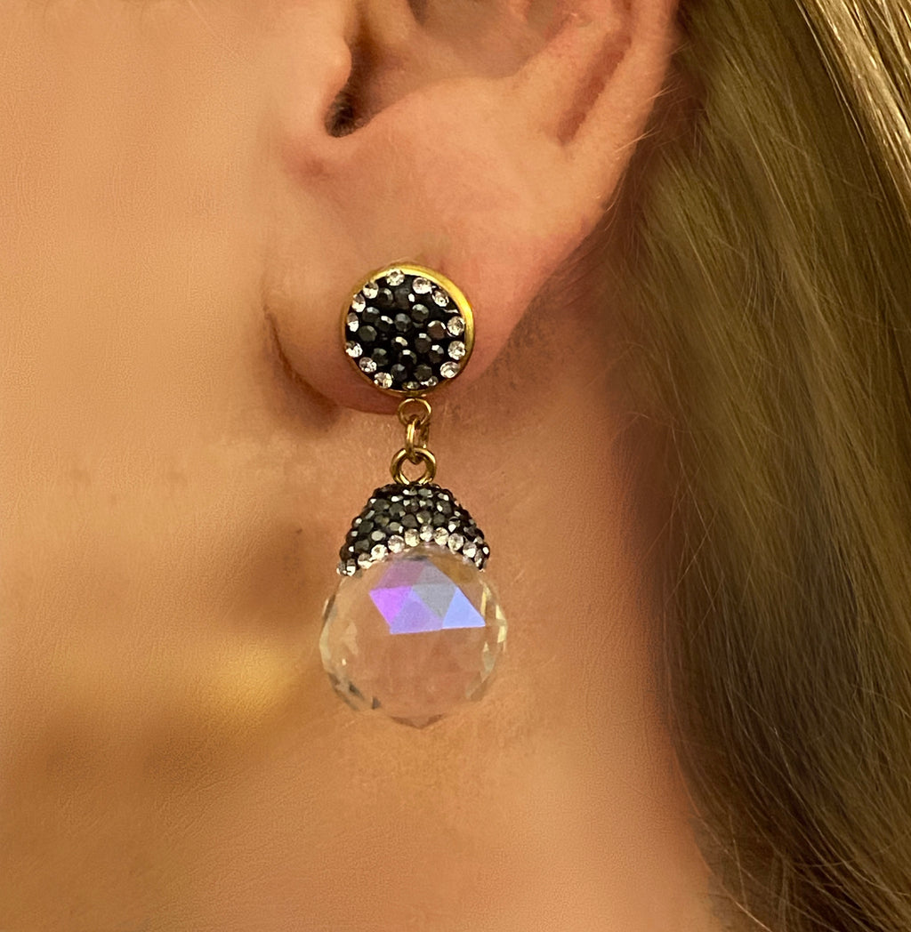 Stainless Steel & Crystal Earrings